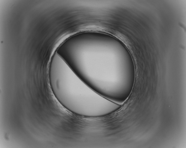 X0000097921392200803141021