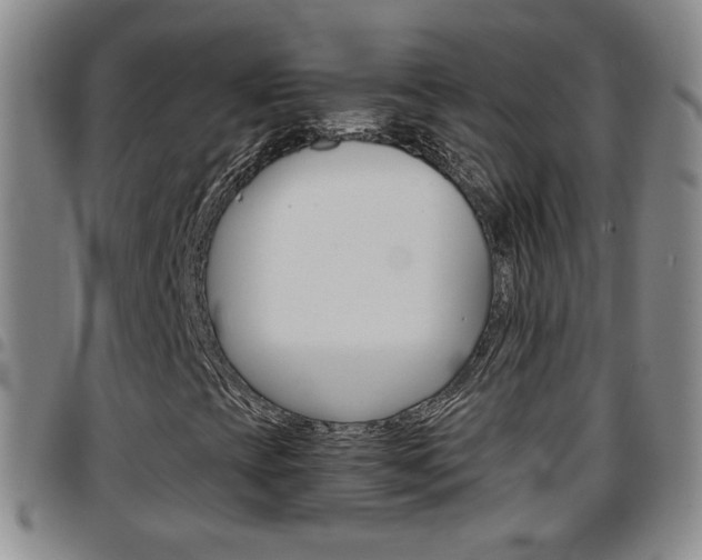 X0000097921393200803141021