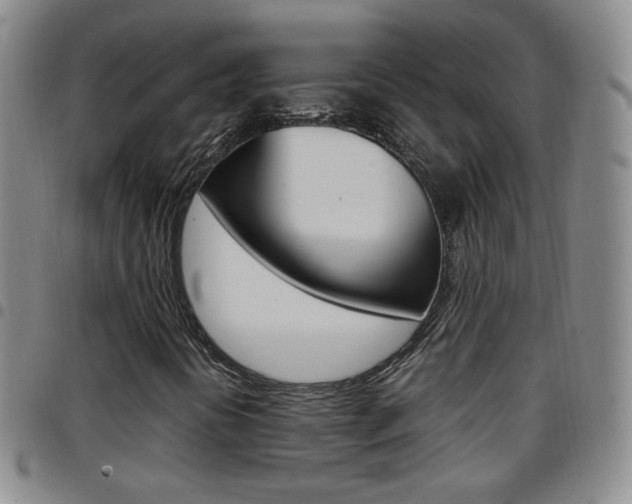 X0000097921394200803141021
