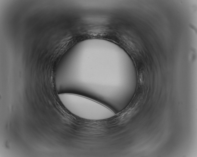 X0000097921396200803141021