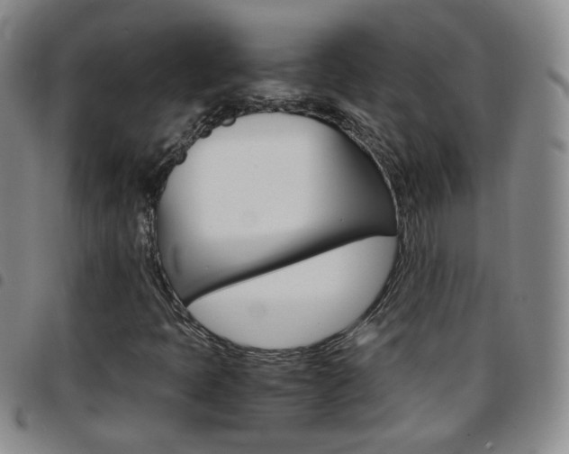 X0000097921397200803141021