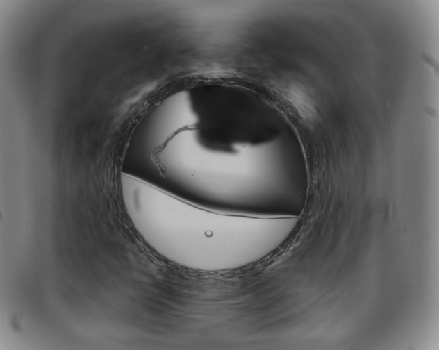 X0000097921398200803141021