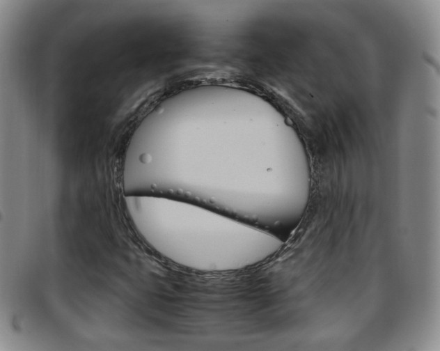 X0000097921399200803141021