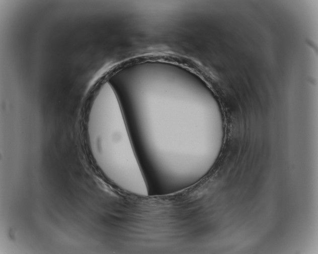 X0000097921400200803141021