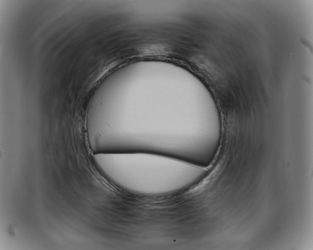 X0000097921401200803141021