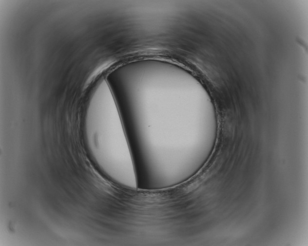 X0000097921402200803141021