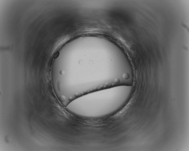 X0000097921405200803141021