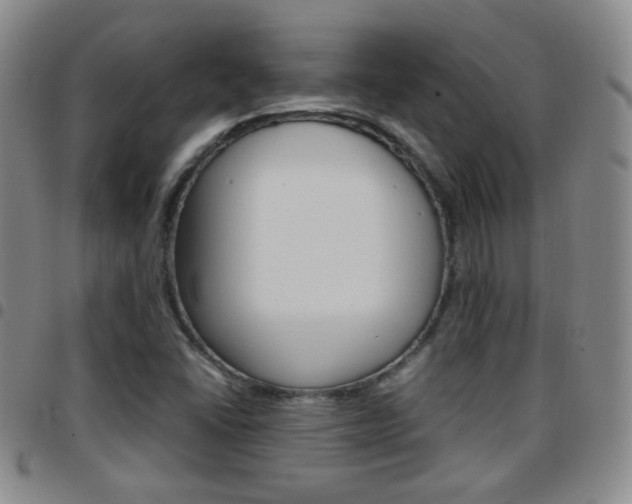 X0000097921406200803141021