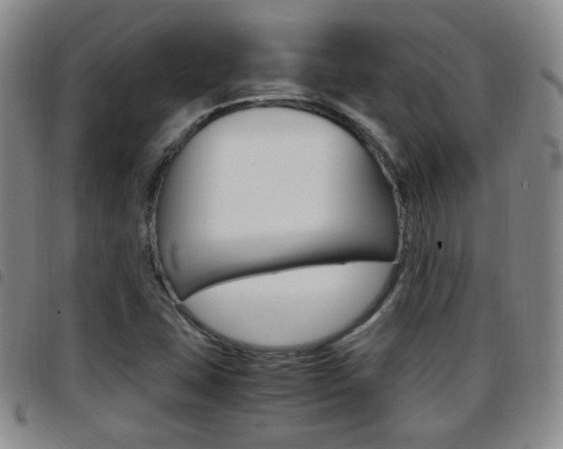 X0000097921407200803141021