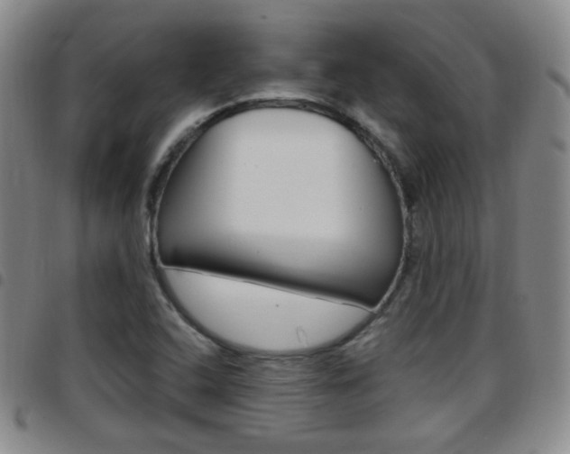 X0000097921408200803141021