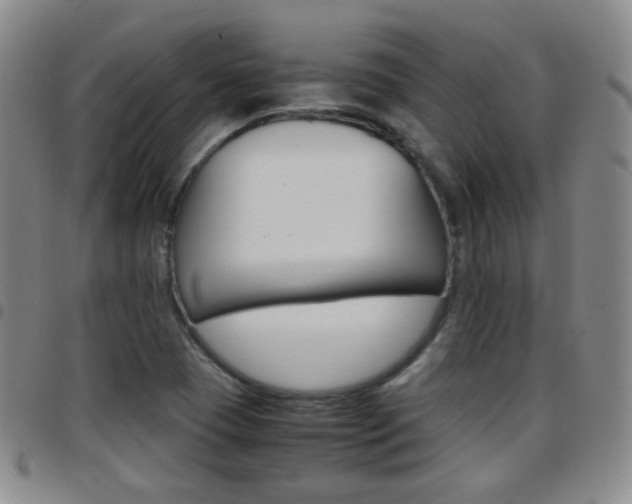 X0000097921409200803141021