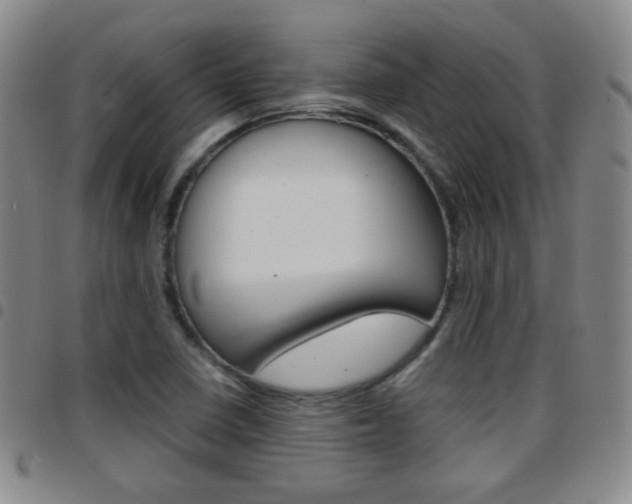 X0000097921410200803141021