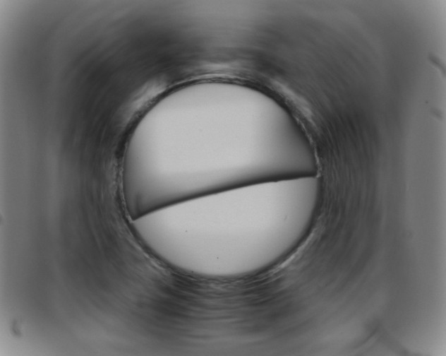 X0000097921411200803141021