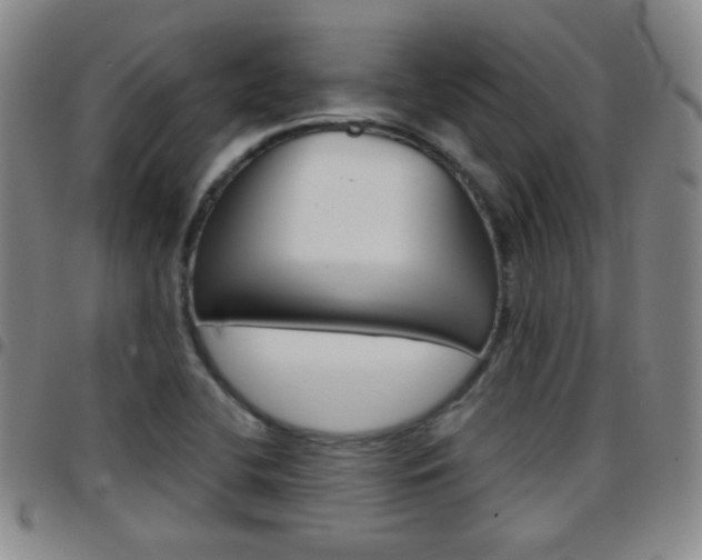 X0000097921412200803141021