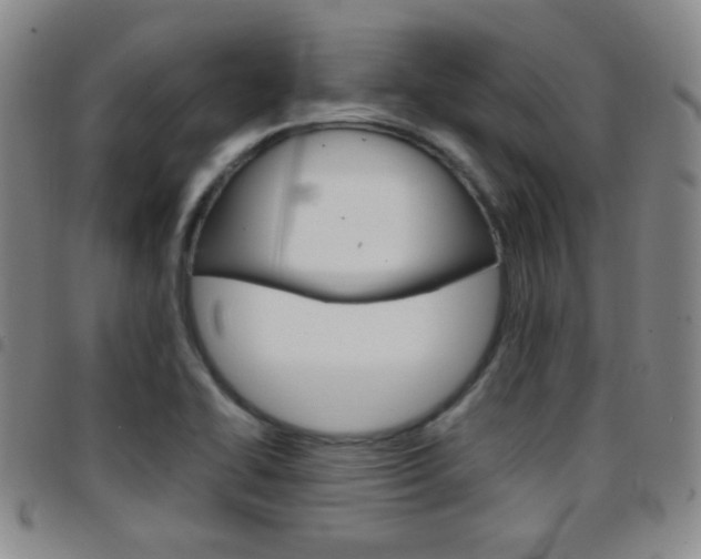 X0000097921414200803141021