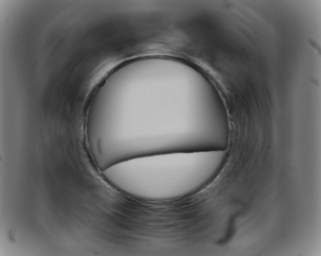 X0000097921415200803141021