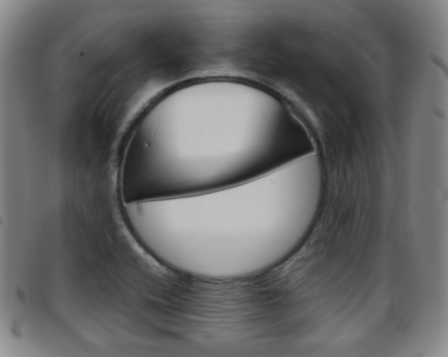 X0000097921416200803141021