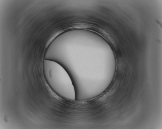 X0000097921417200803141021