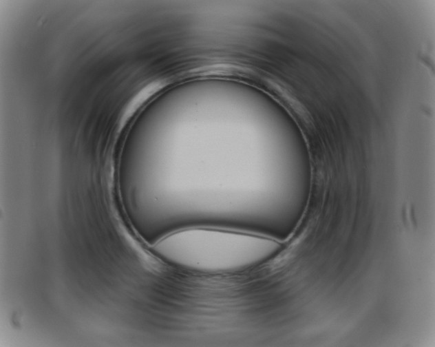 X0000097921418200803141021