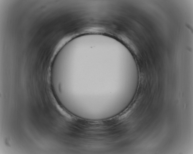 X0000097921421200803141021