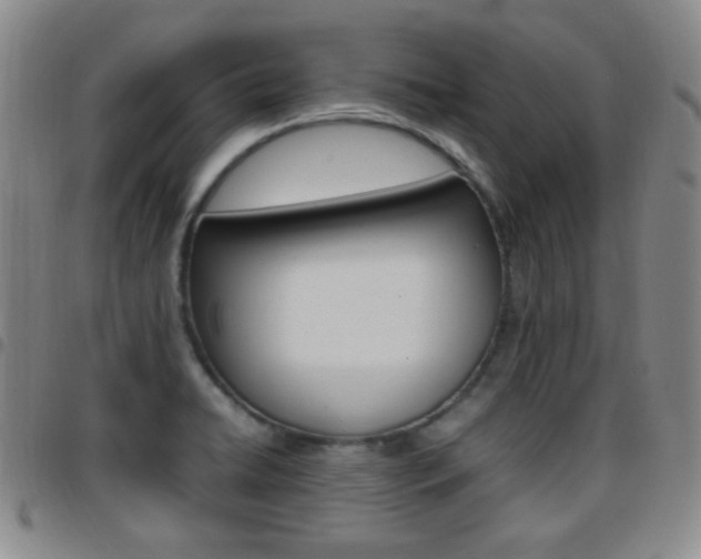 X0000097921422200803141021