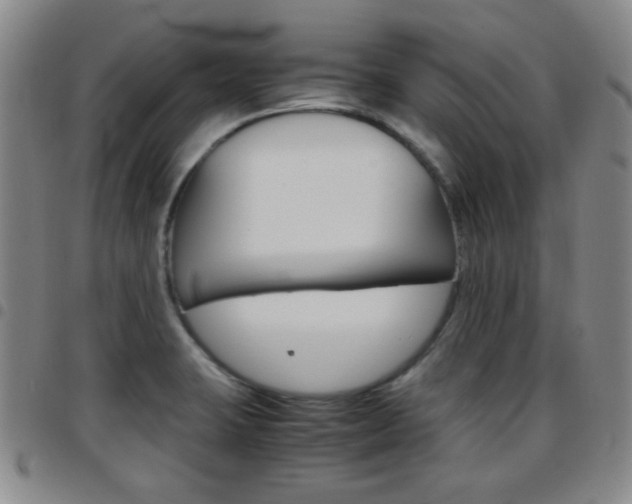 X0000097921423200803141021