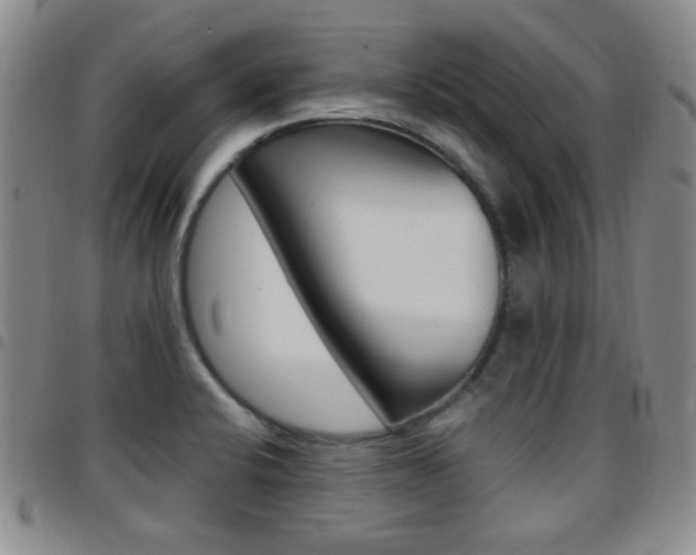 X0000097921424200803141021