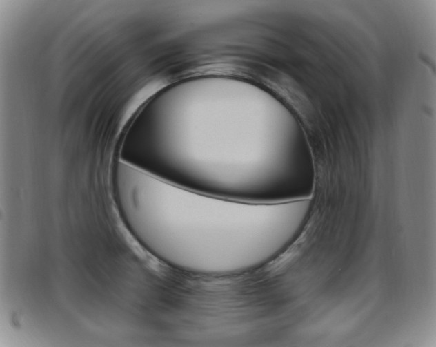 X0000097921426200803141021