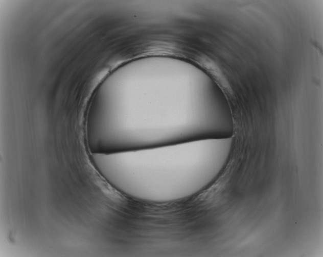 X0000097921427200803141021