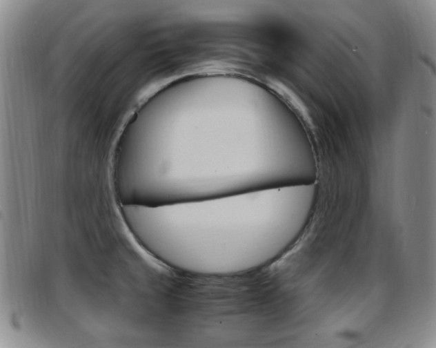 X0000097921429200803141021