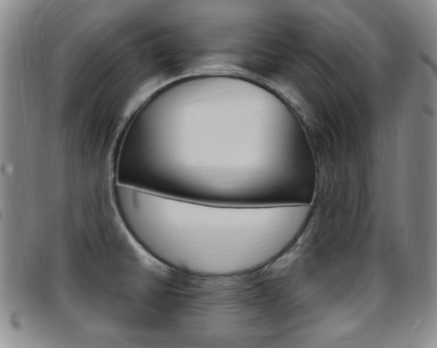 X0000097921430200803141021