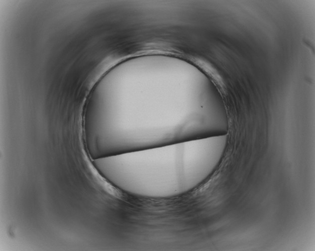 X0000097921431200803141021