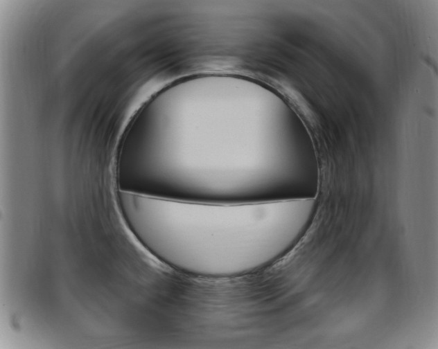 X0000097921432200803141021