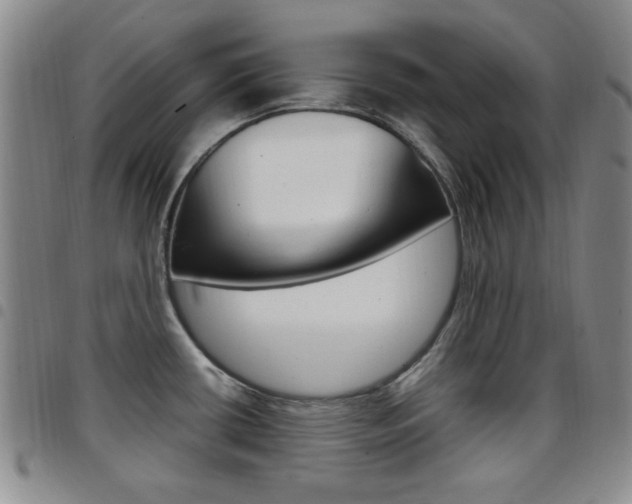 X0000097921434200803141021