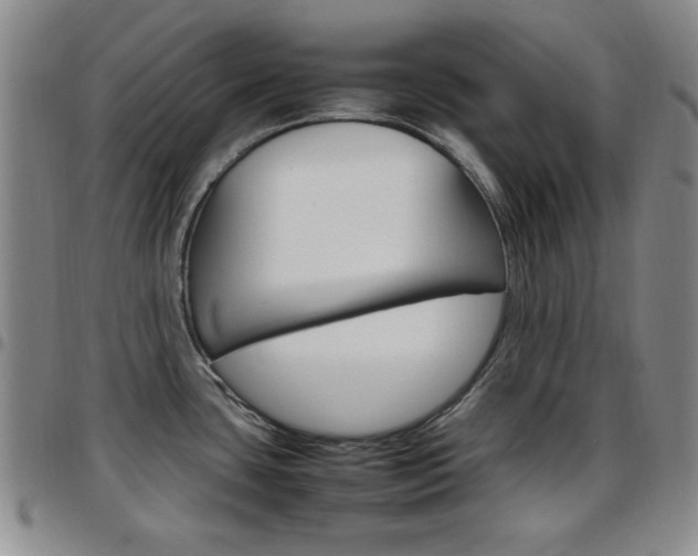 X0000097921435200803141021