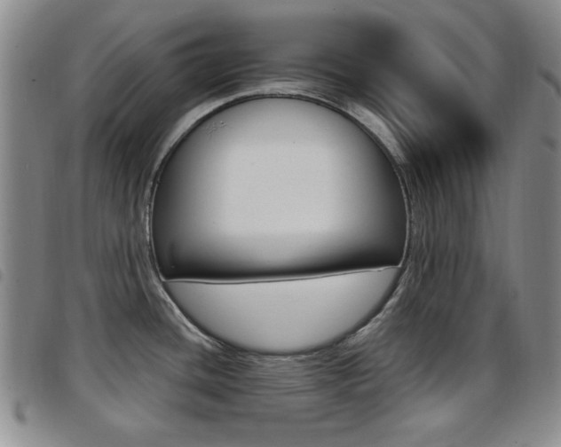 X0000097921436200803141021