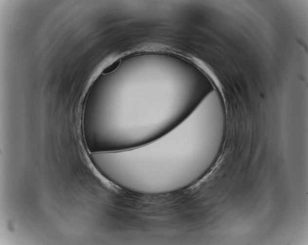 X0000097921437200803141021