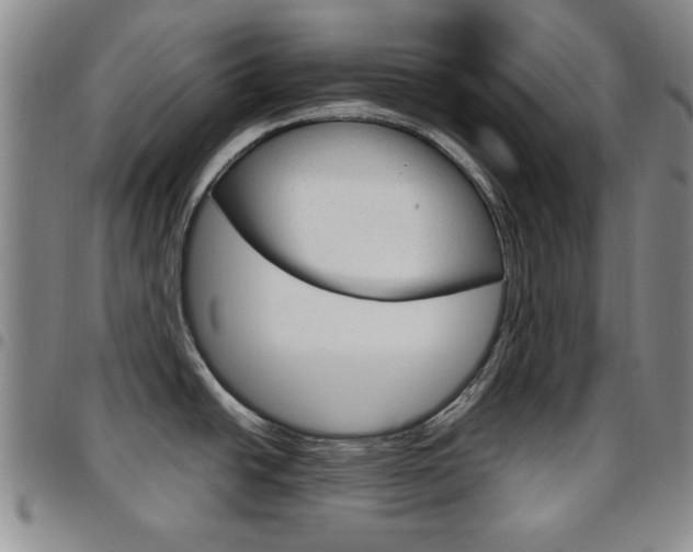 X0000097921438200803141021