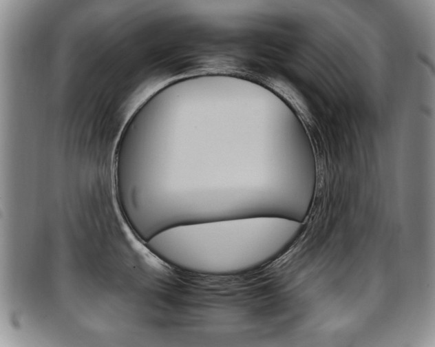 X0000097921439200803141021