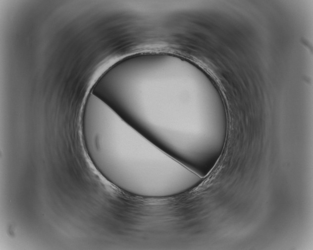 X0000097921440200803141021