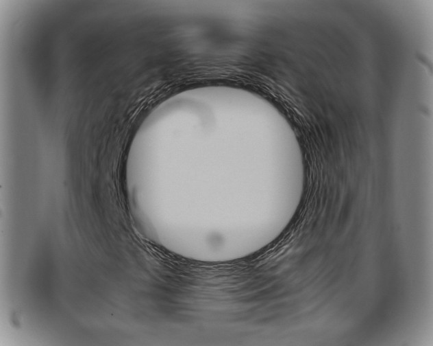 X0000097921441200803141020