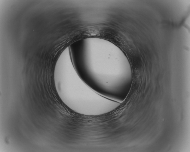 X0000097921442200803141020