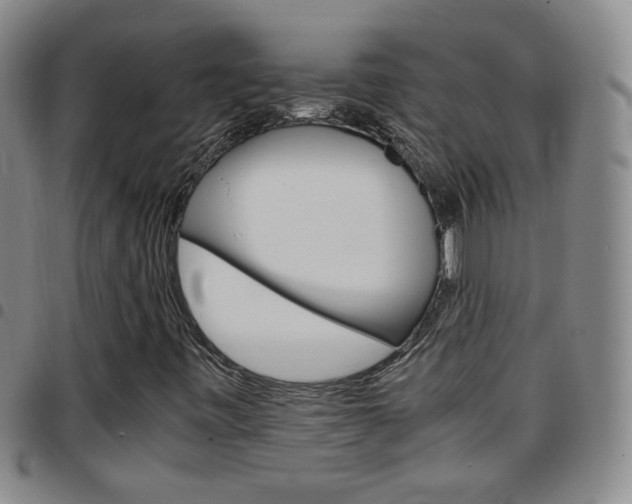 X0000097921443200803141020
