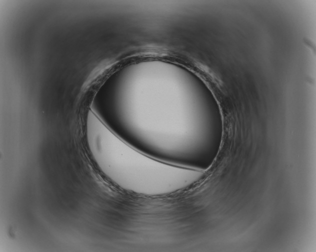 X0000097921448200803141020