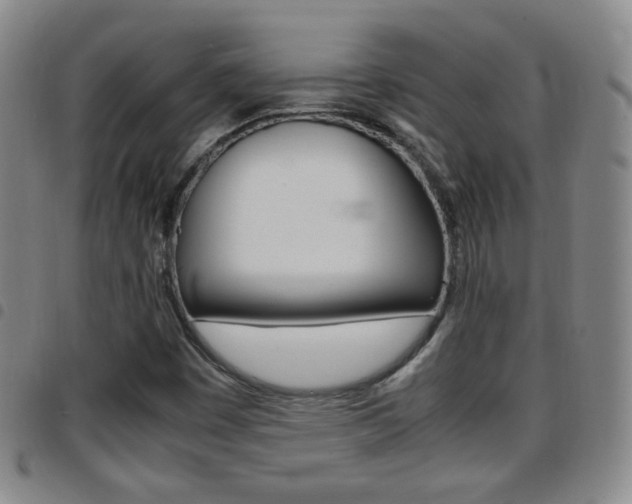 X0000097921449200803141020