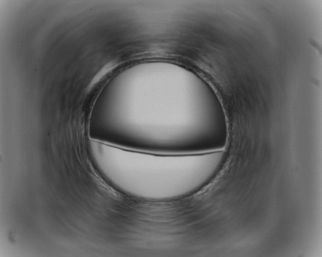X0000097921450200803141020