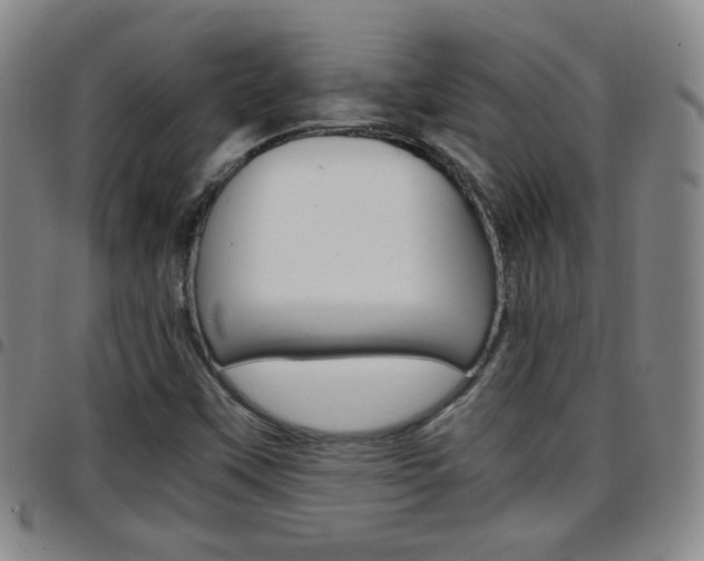 X0000097921451200803141020