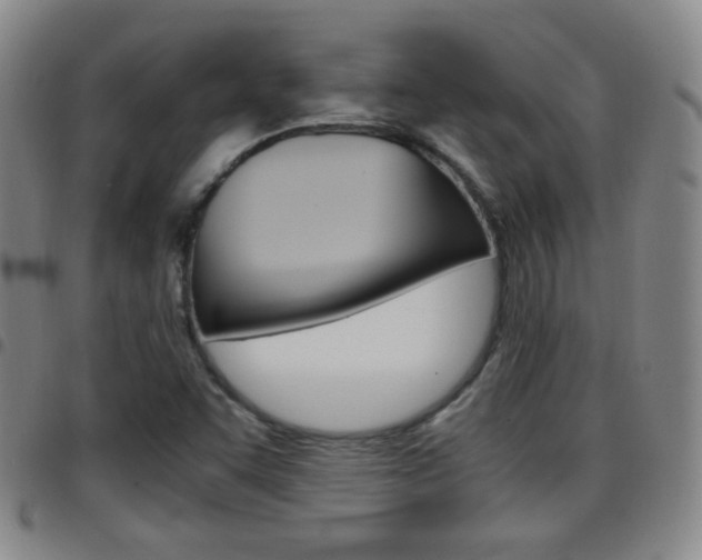 X0000097921455200803141020