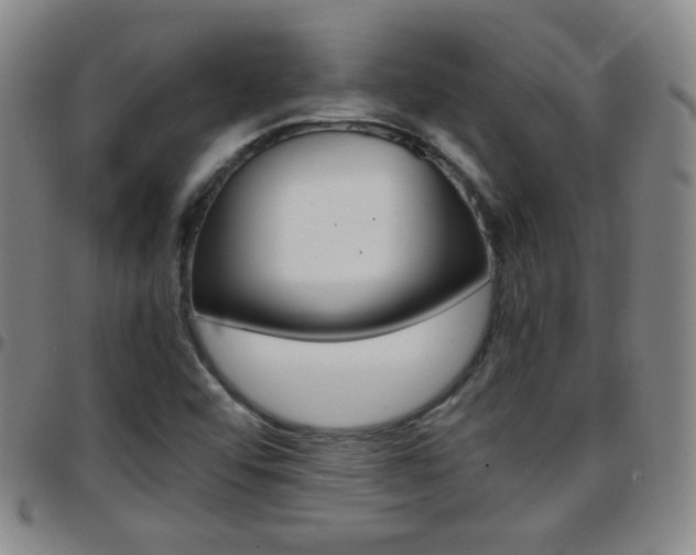 X0000097921456200803141020