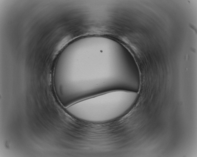 X0000097921459200803141020